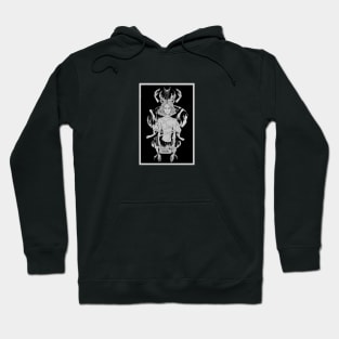 Ira Hoodie